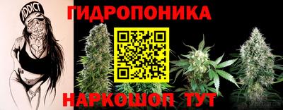 метадон Кингисепп