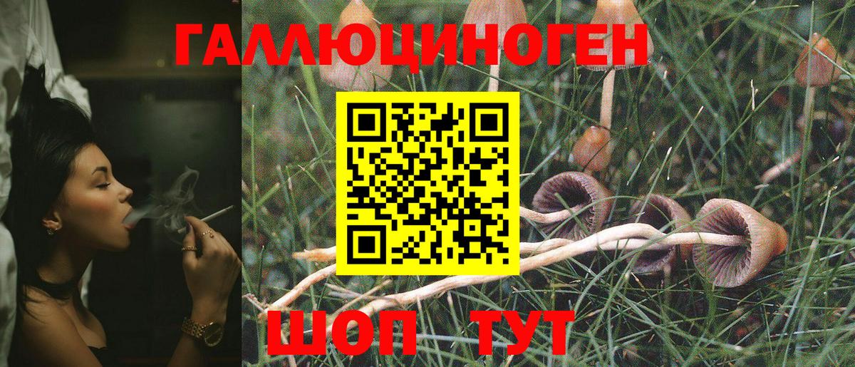 Краснокаменск  магазин    Вход с VPN  Псилоцибиновые грибы Psilocybe 
